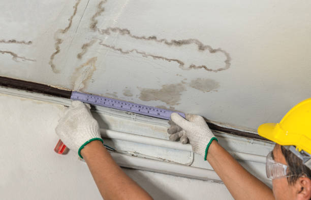 Reliable Burst Pipe Cleanup contractor in Cadiz, OH by Water Damage Irwin